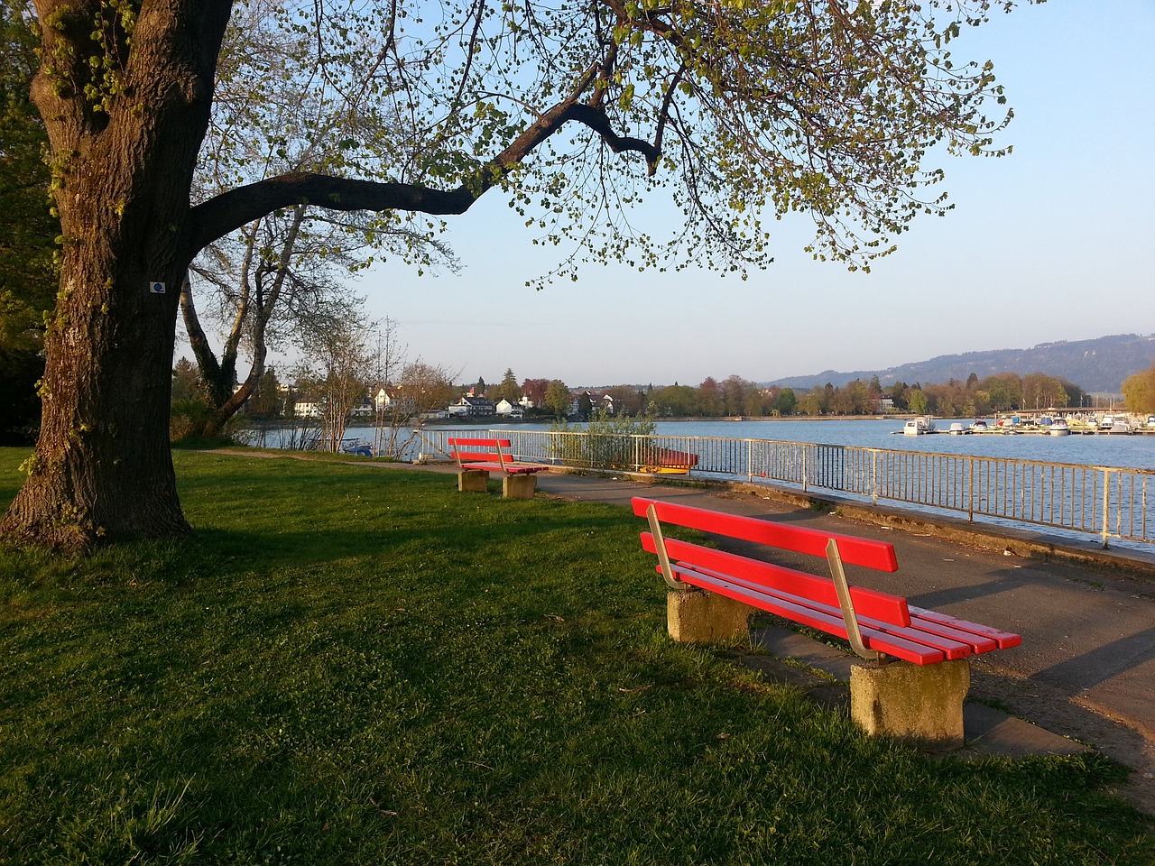 表中国的唯 表中国的唯