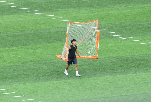 李海新在多 李海新在多