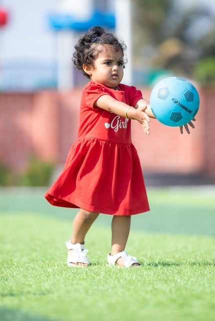 以全新的 以全新的