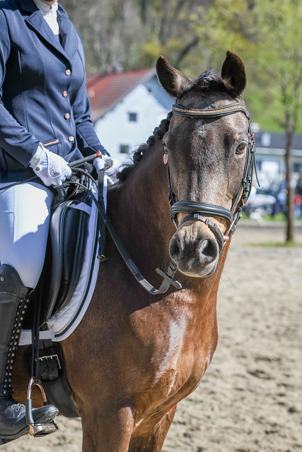 员的发挥密 员的发挥密