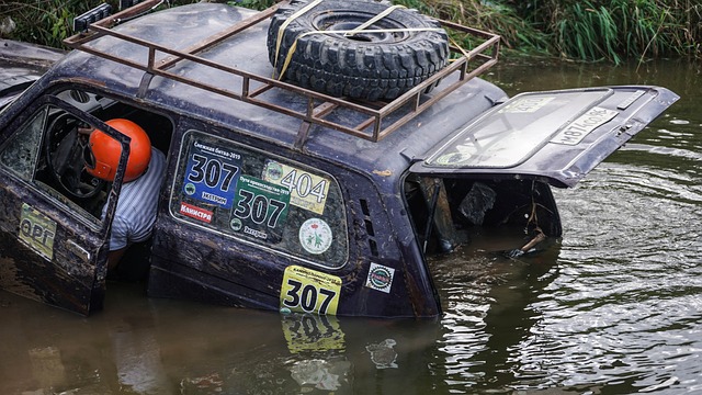 他们利用前 他们利用前