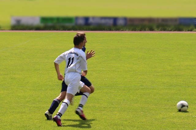 却在与葡萄 却在与葡萄