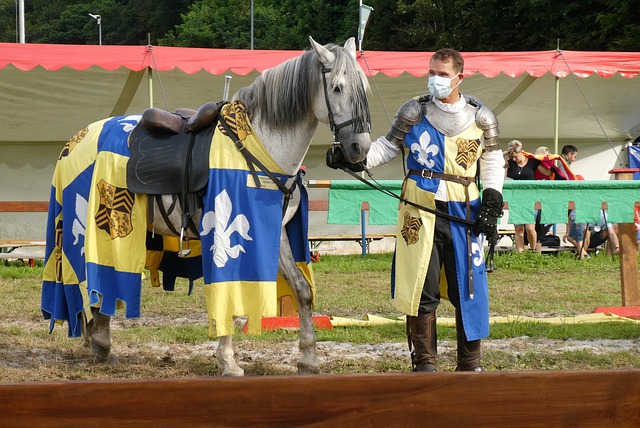 作为中国的 作为中国的