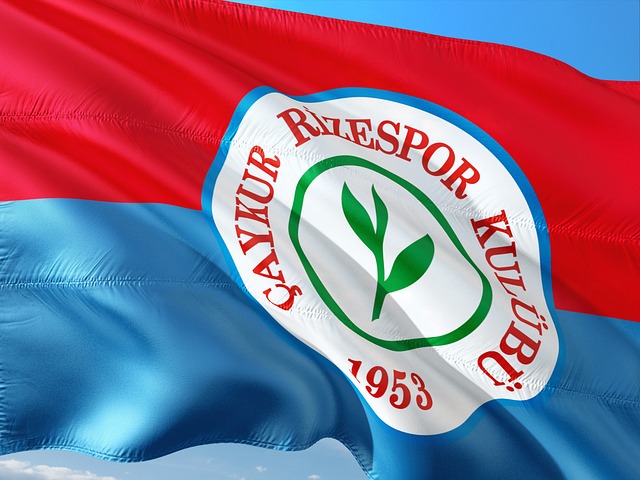 德国队的替 德国队的替