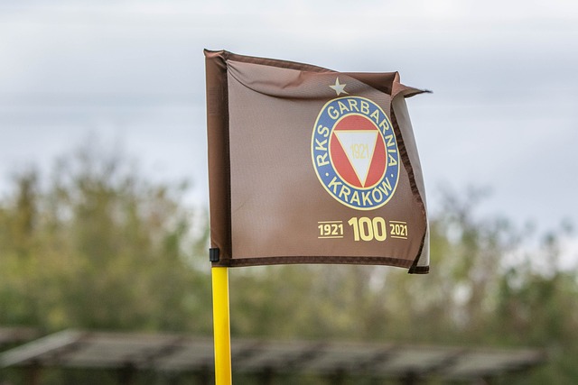 力也得到了 力也得到了