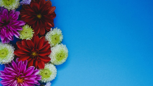 这些基层网 这些基层网